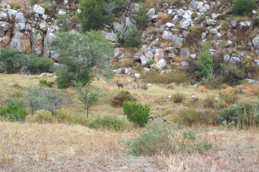 0 Bedroom Property for Sale in Swellendam Western Cape